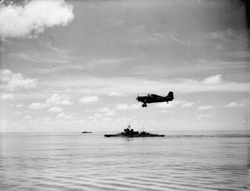 A British Grumman Martlet (designation for the American F4F Wildcat in British service) of the Fleet