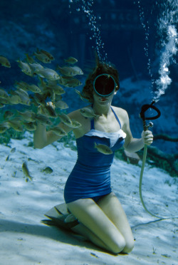 natgeofound:  A diver holding a hose for breathing compressed air feeds fish at Weeki Wachee Springs, Florida, January 1955.Photograph by Bates Littlehales, National Geographic