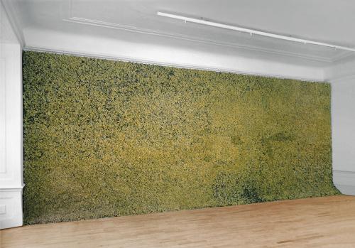 disease:STUDIO OLAFUR ELIASSON / MOSS WALL [1994] @