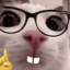meowgurt