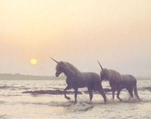 . en We Heart It. http://weheartit.com/entry/69386915/via/DontBlameMee