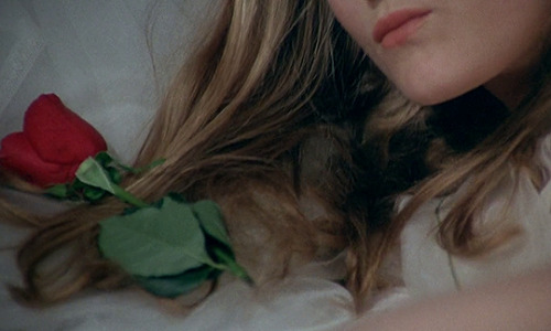 The Beast (Walerian Borowczyk, 1975)