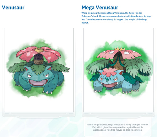 therandominmyhead: Mega Evolutions for Kanto Starters revealed! Charizard is fine with it&rsquo;