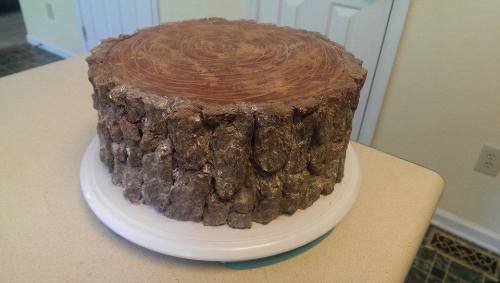 whovitaku:  bloggerwithashotgun:  captainamerica-in-middle-earth:  stunningpicture:  Cake a daughter made for her lumberjack dad.  No, that is a log  PEETA  I bet he works all night and sleeps all day…