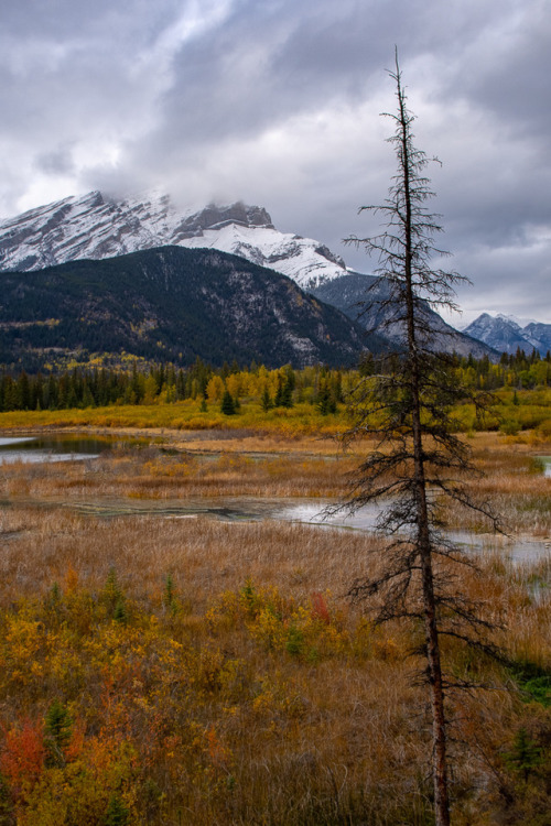 Banff Alberta, Canada by Doug Sawatzky