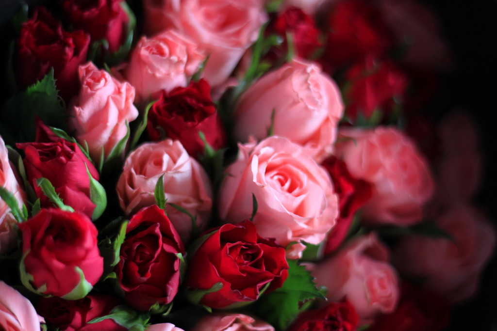 framable:  Roses black bouquet (by SanctyYumi)
