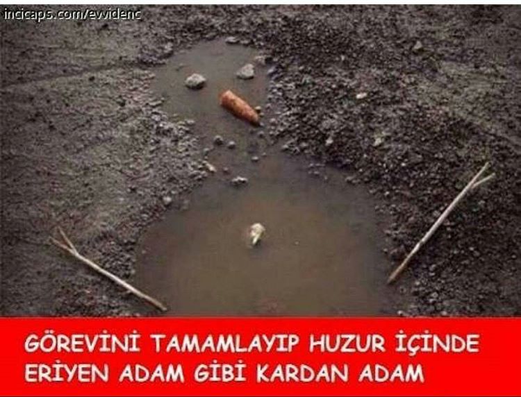 GÖREVİNİ TAMAMLAYIP HUZUR...