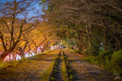 tanuki-kimono:  Four seasons on an abandoned railway, by  @usalica Original title uses the expression “shunkashuto” (春夏秋冬, lit  “spring, summer, autumn and winter”), which is a yojijukugo - a 4 kanji expression - which reads simply as