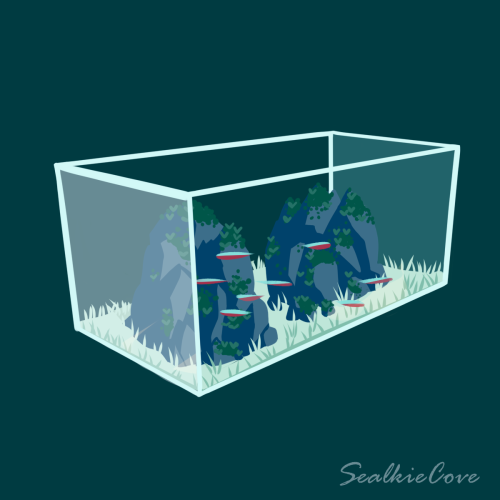 sealkiecove:last one in the freshwater aquarium series! neon tetras are such beautiful little fish