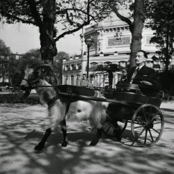 historicaltimes:  Salvador Dalí on a carriage drawn by his goat, 1953. via reddit