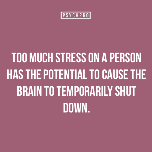 Yes it does