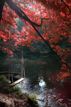 plasmatics-life:  Autumn Swing ~ By Winfried