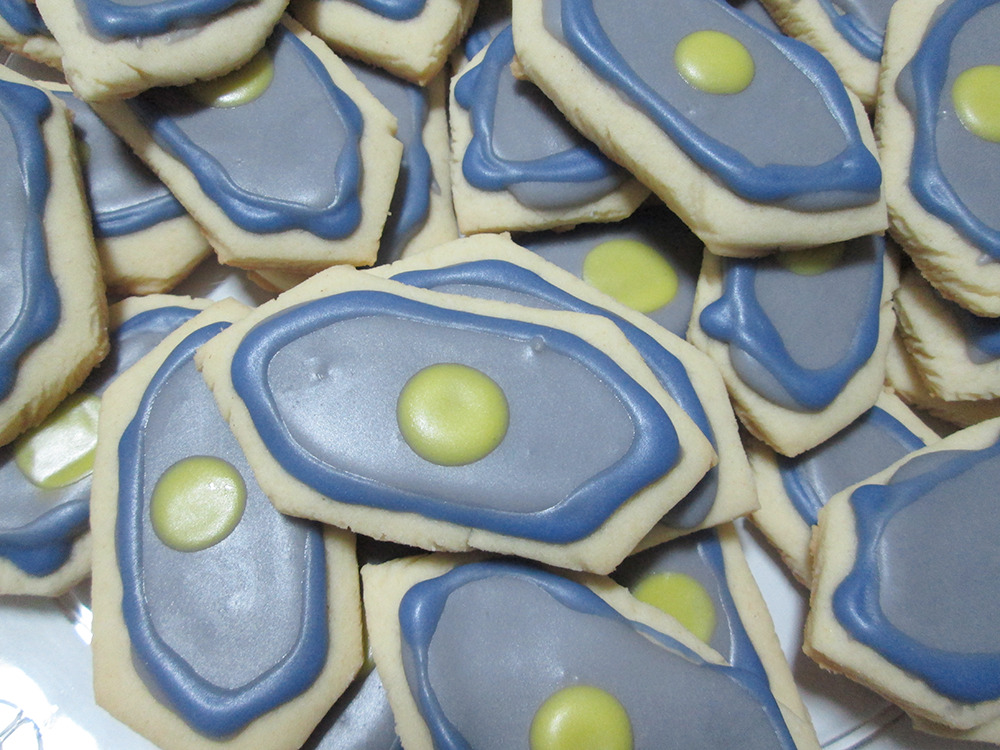 autobrobot:  So, hm…….. I tried to make cookies that resemble Shocks’ face,