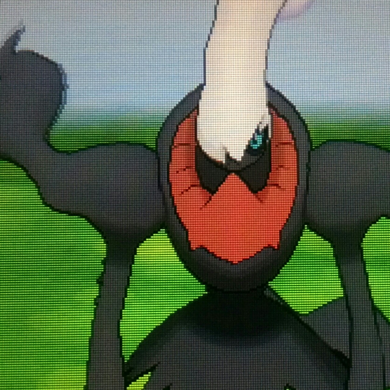 firetypetiny:firetypetiny:The Sinnoh Delights GiveawayI don’t have an opening joke.