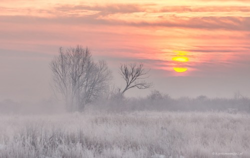 expressions-of-nature:by Katarzyna Gritzmann