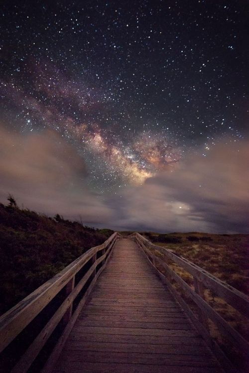 Possibly The Best Collection Of Images Of The Milky Way From Here On Earth Ever!