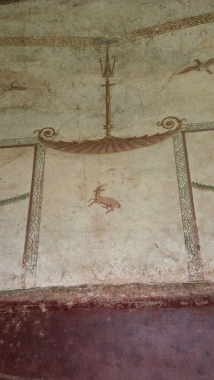 diogenesthesassmaster:Examples of 3rd style frescoes from the Villa of Poppaea, Oplontis (town near 