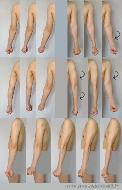 fucktonofanatomyreferences:  A phenomenal fuck-ton of arm references. (The last image is a GIF; wait for it to load.) [From various sources] 