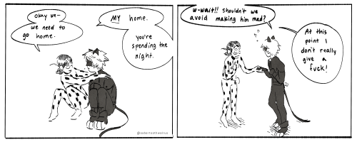 I Uhhhh I Made Another Continuation....