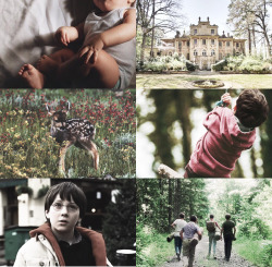 albvs-dvmbledore:  jammespotter:  James Potter’s life; a summary   it’s sad because it’s so short 