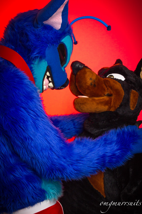 omgmurrsuits:Happy Valentine’s Day everybody. &gt;:) #FursuitFriday #ValentinesDayHappy Valentine’s 