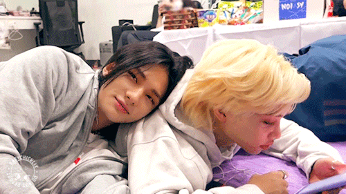 Idol! Hyunjin X Stay! Reader: Ship