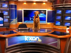 deletlng:  woof woof wats the news