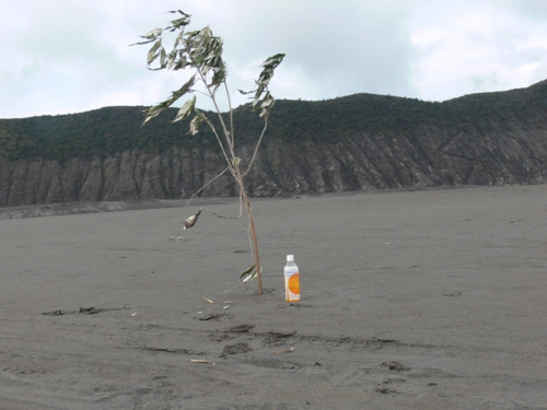 Suatu upacara dengan mempersembahkan sesaji ke kawah gunung bromo disebut