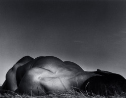 editionq:  Frank YamrusFrank Grass1995edition 10 in this formatgelatin silver print, mounted16 x 20 inchessigned and numbered in marginunframed  