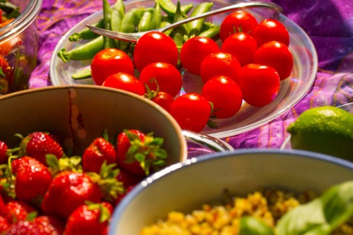 Olenko’s Vegan Summer Solstice Picnic on Hudson River On this beautiful  summer solstice 