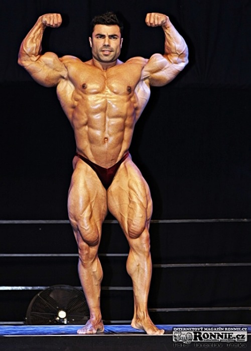 worldbodybuilders:  Eduardo Correa.