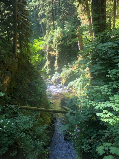 Finally got back out to Sol Duc falls, been talking about it anytime I see it pop