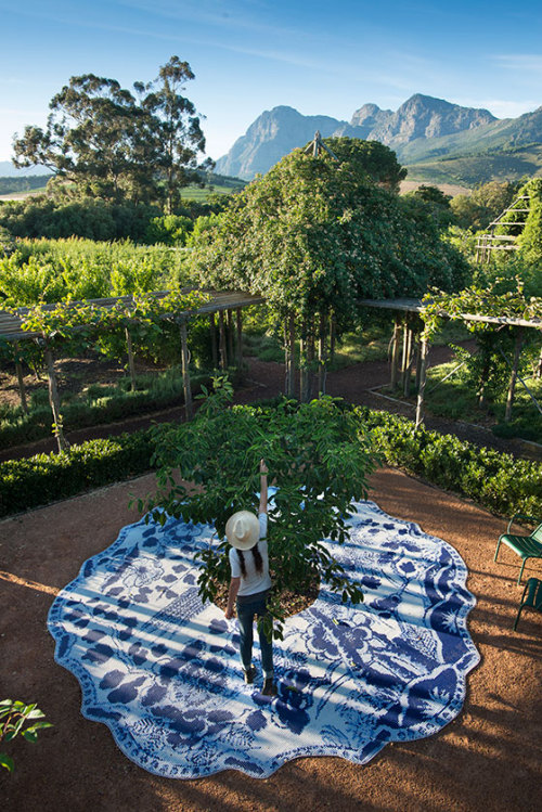 {This place feels like a breath of fresh air for me… the interiors of South Africa's Babylons