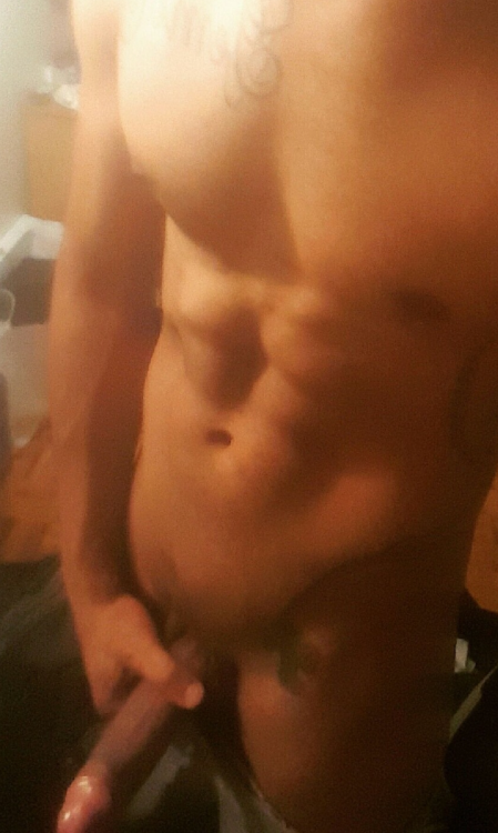 dominicanbamboo2:  DB #376 