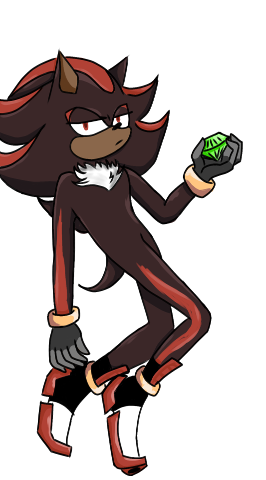 You Can Take A Guess What I Did. I Made ANOTHER Picture Of Shadow. And Not Gonna Lie, I Am Proud Wt Myself,