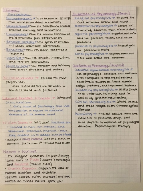 acciostudy:So I got a request to do a close up of my review sheets and maybe a mini how-to so let’s 