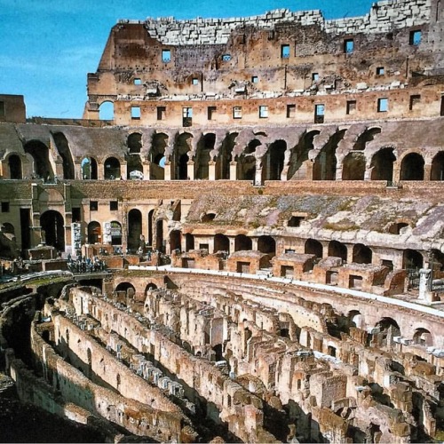 historyoftheancientworld: Inside the Colosseum #insidethecolosseum #colosseum #amphitheatre #ancient