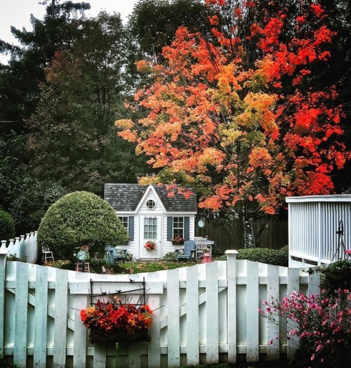 bookofoctober:Garden shed looking like a confusingly small, but perfectly charming, little house in 