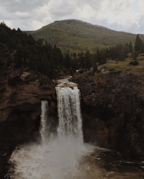 wildexpeditions: Only 1 day a year Natural Bridge Falls accumulates so much water that it flows over