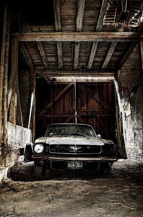 Barn find 