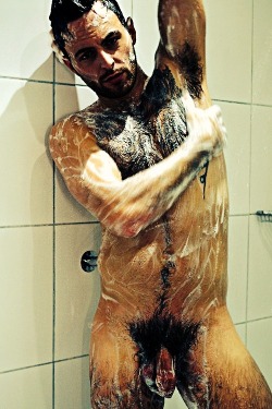 sambrcln:  Two blogs:  http://sambrcln.tumblr.com/archive  http://hairysex.tumblr.com/archive hairy man, hairy men, hairy guys, hairy chest, gay daddy, bear, gay bear, male, macho, furry, gay leather, hunk, stallion, gay sex, sucking dicks, gay fuckers,