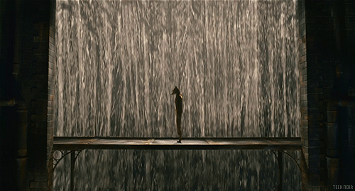 Cuss Yeah, Wes Anderson