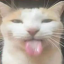 lilaissocool17