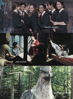 weasloy:  to gryffindors! hufflepuffs! ravenclaws!