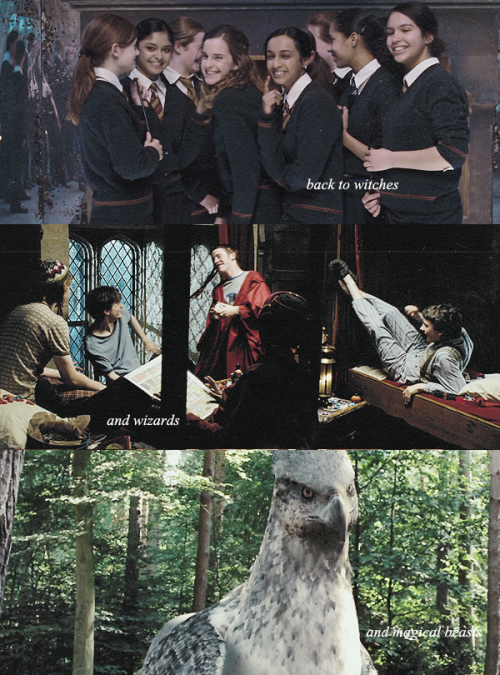 weasloy:  to gryffindors! hufflepuffs! ravenclaws! slytherins! back to the place where our story begins! it’s hogwarts, hogwarts!