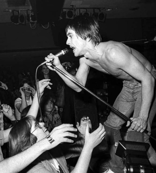 soundsof71: Iggy Pop, the new Leper Messiah, San Francisco ‘77, by Chester Simpson