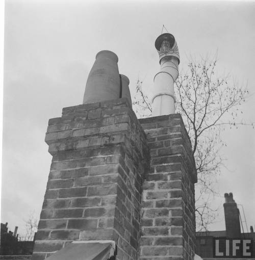 Owl perched in the chimney(Larry Burrows. 1951)