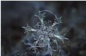 Nature Knows: Amazing macro-photography of individual snowflakes [10 Pictures] http://ift.tt/LFRPGw