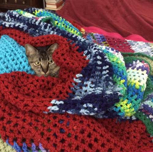 absentlyabbie:you will never be as comfy as this babbyall shall envy her, and despair