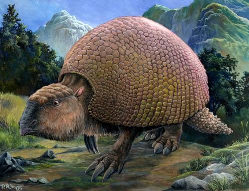 GlyptodontsLooking like tanks rolling across the landscape, this family of mammals (related to moder